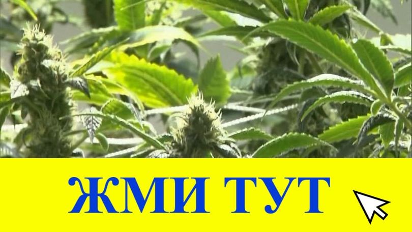 Купить наркотики в Котовске